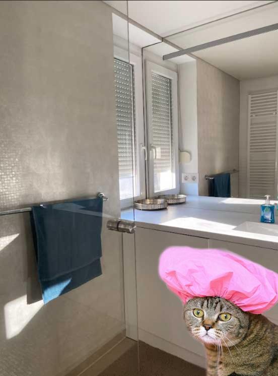 Luxury Lifestyle In Appartement